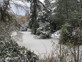 more snow nov 2019 019